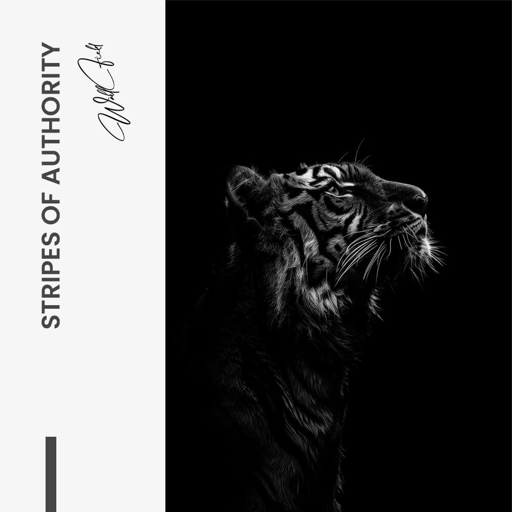 "Stripes of Authority"