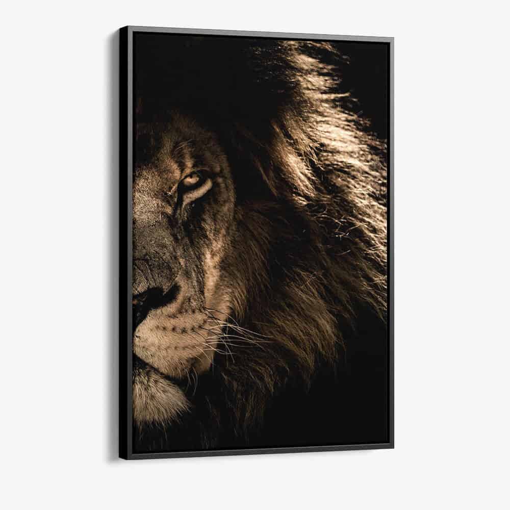 Bundel: Lion in the Dark (2x)