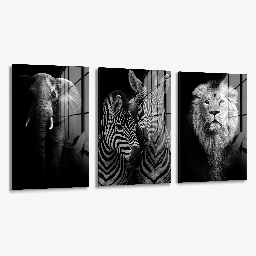 Bundle: "Safari" (3x) – Verre