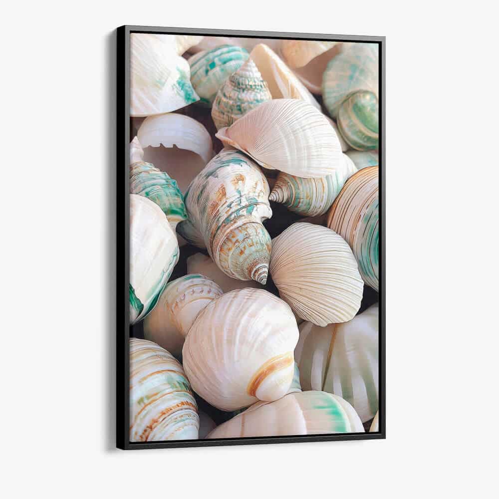 "Sea Shell"