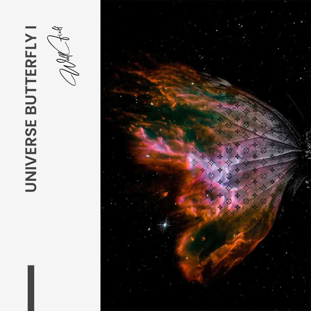 Bundle: "Universe Butterfly" (2x) – Verre