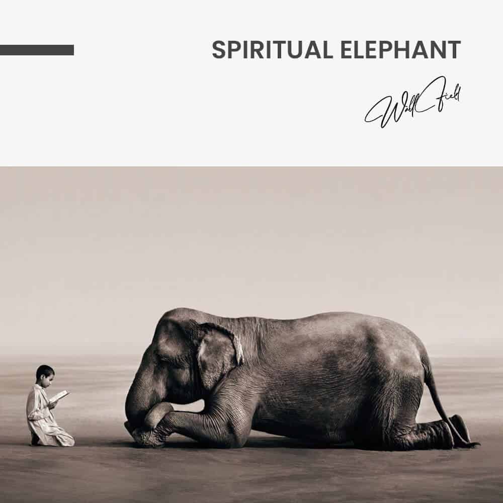 Spiritual Elephant - Verre