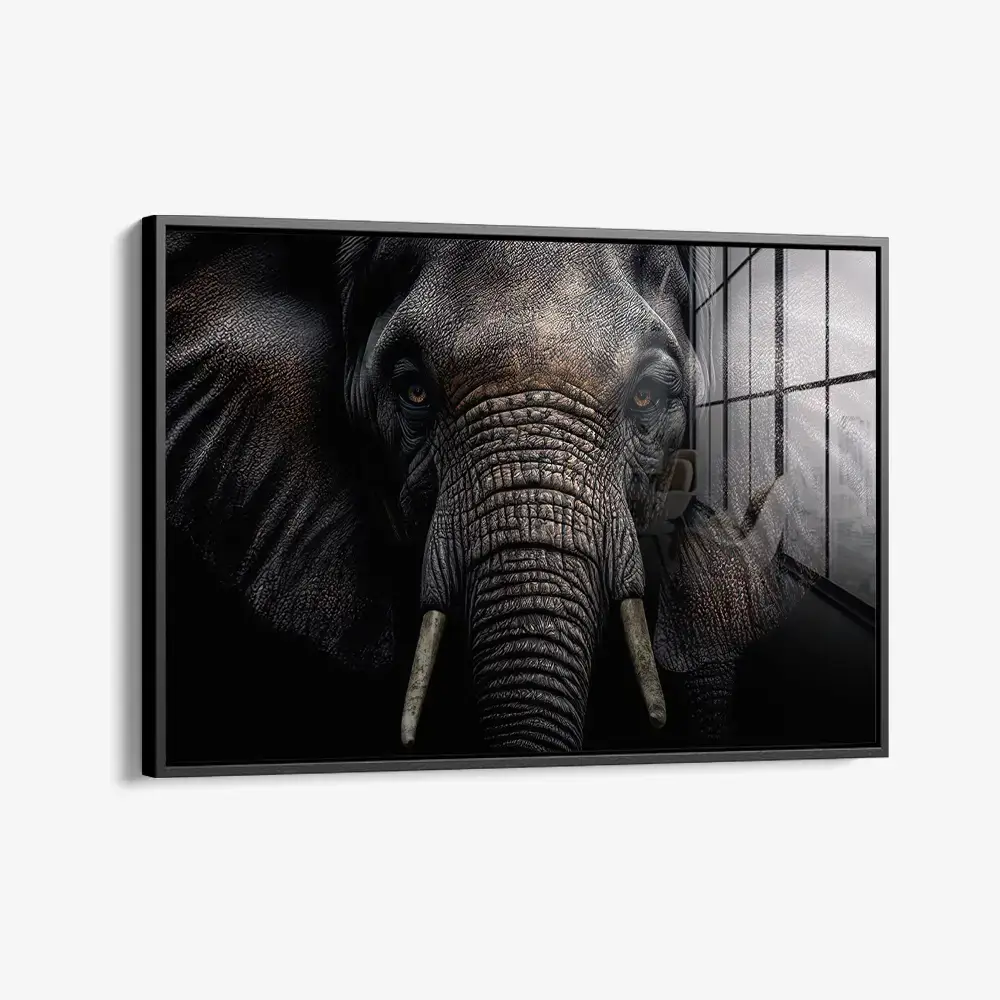 Elephant Close-Up – Verre
