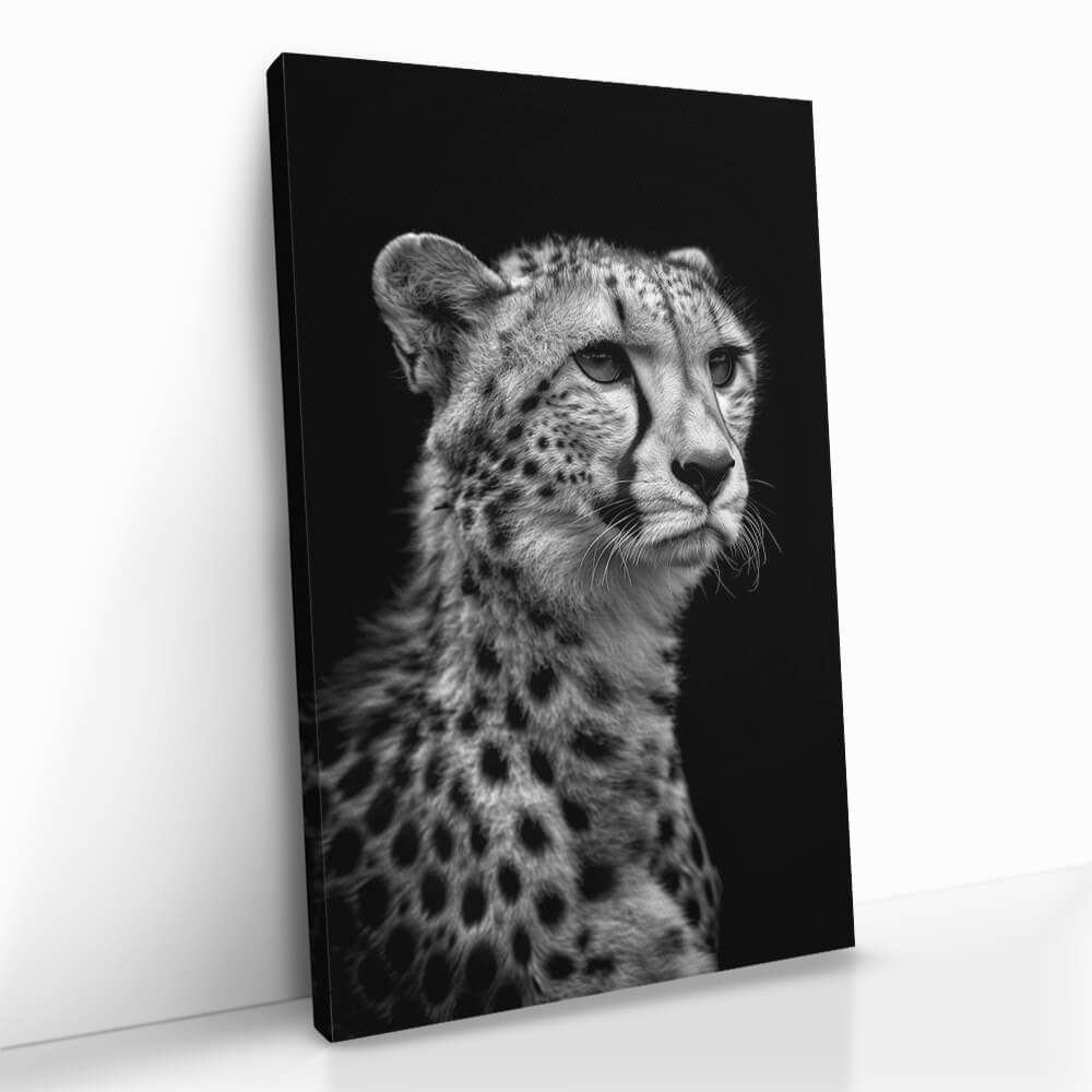 "Cheetah's View"