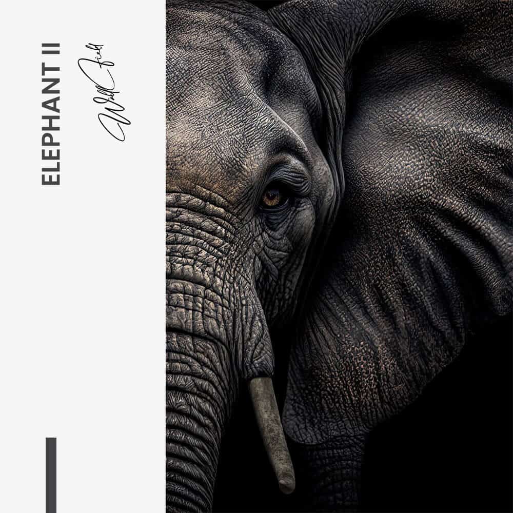 Bundle: "Elephant" (2x) – Verre