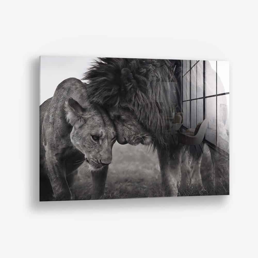 Loving Lion - Verre