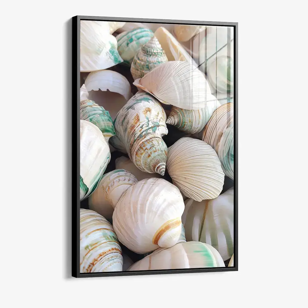 Sea Shell – Verre