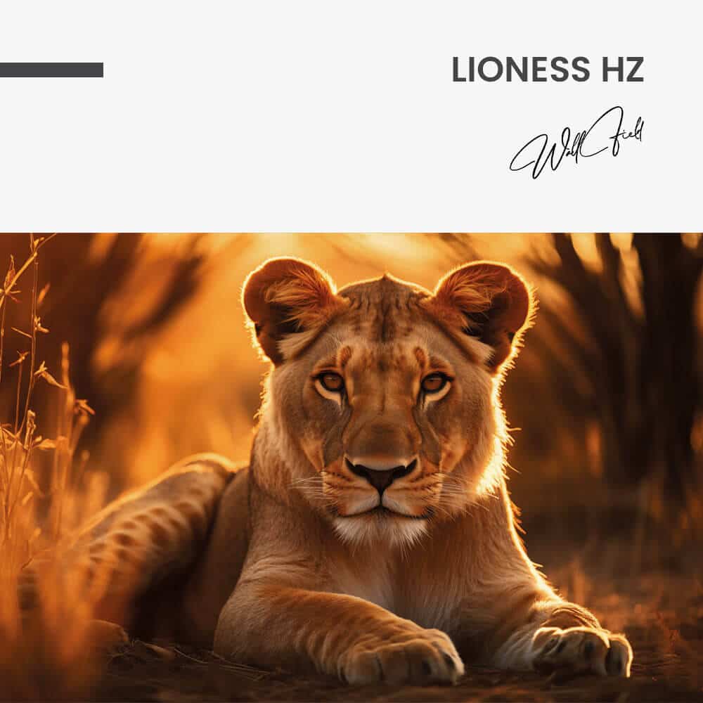 "Lioness HZ"