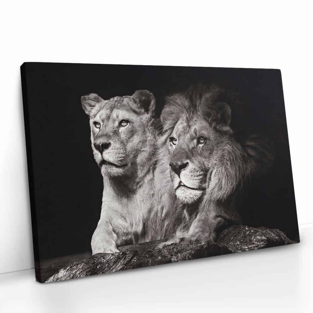 "Lion Couple"
