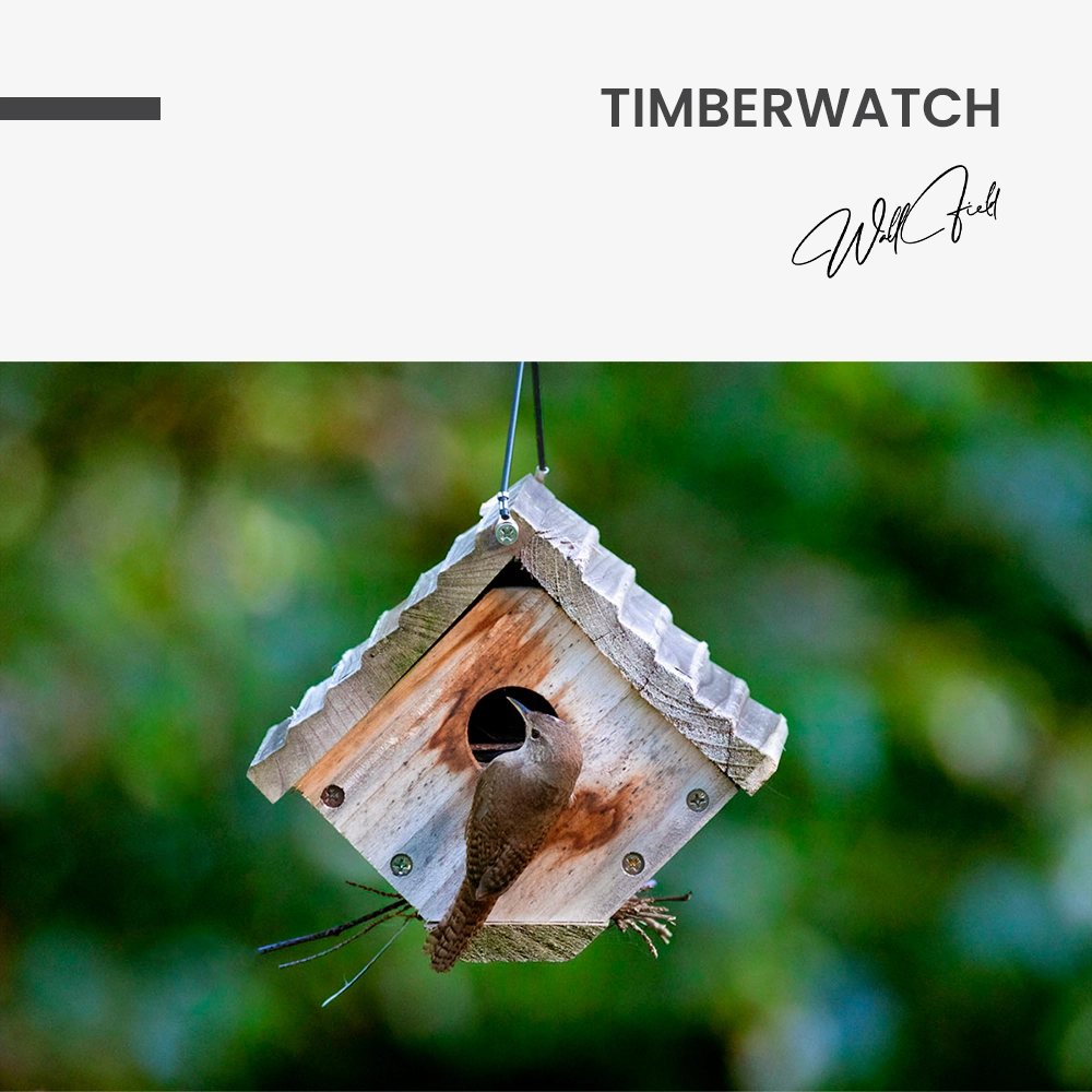 "Timberwatch"