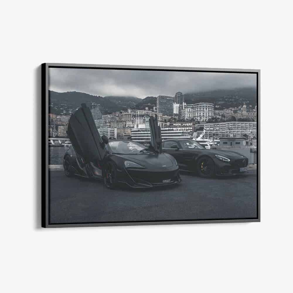 "Butterfly Doors"