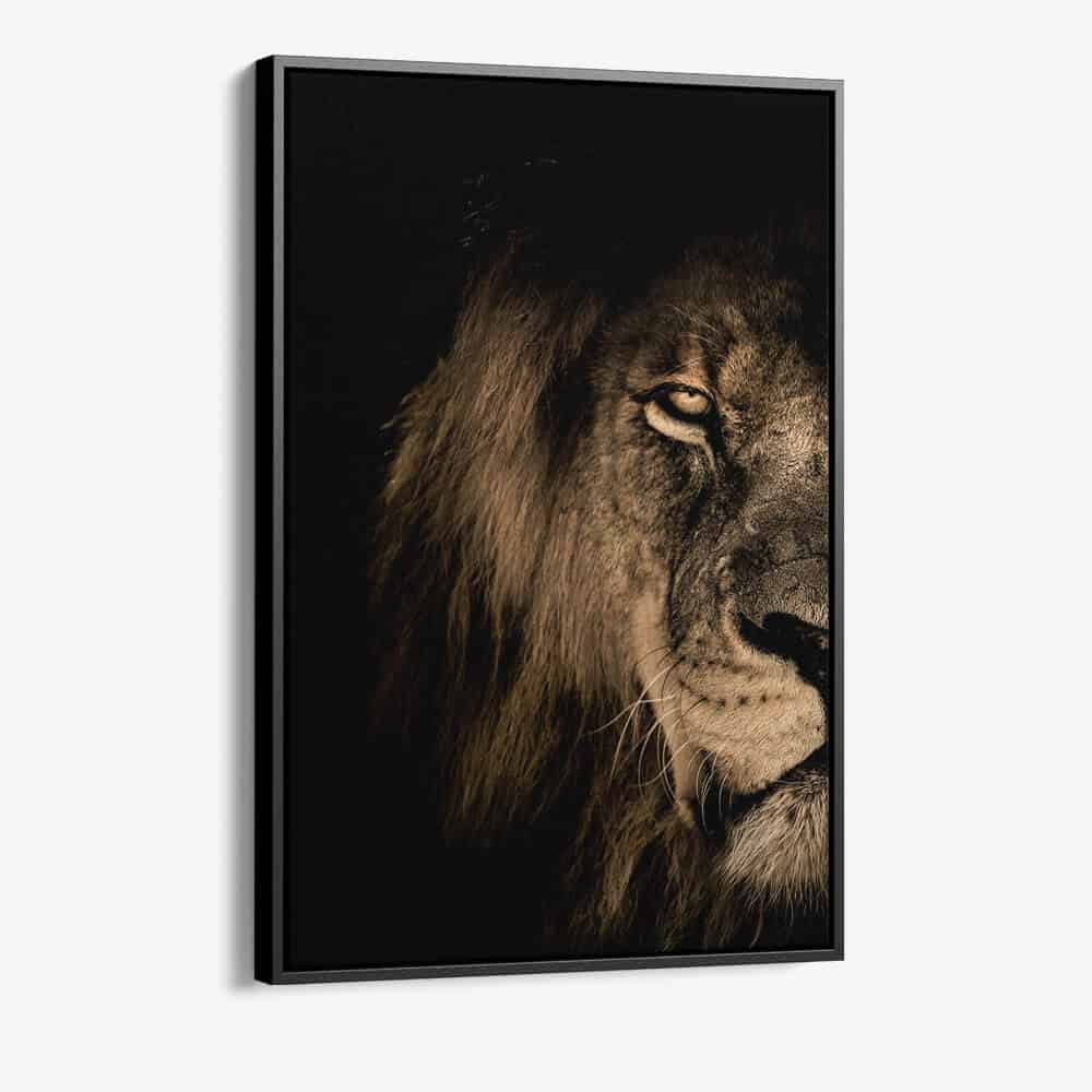 Bundel: Lion in the Dark (2x)