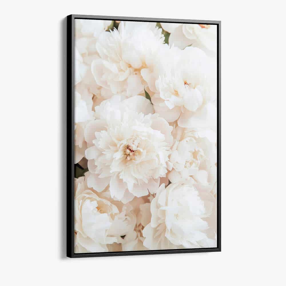 "White Roses"