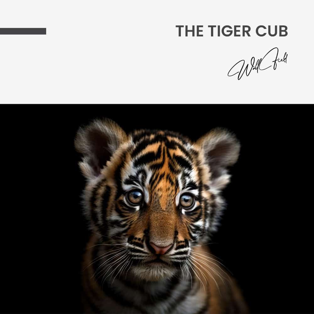 The Tiger Cub – Verre