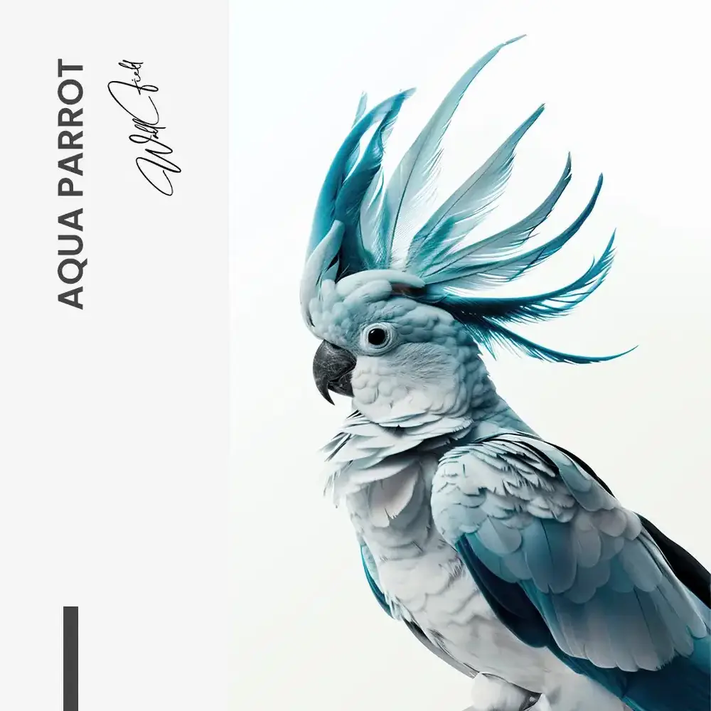 "Aqua Parrot"