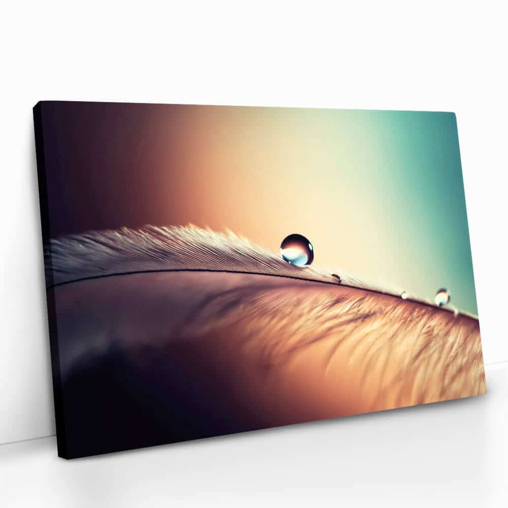 "Waterdrop"