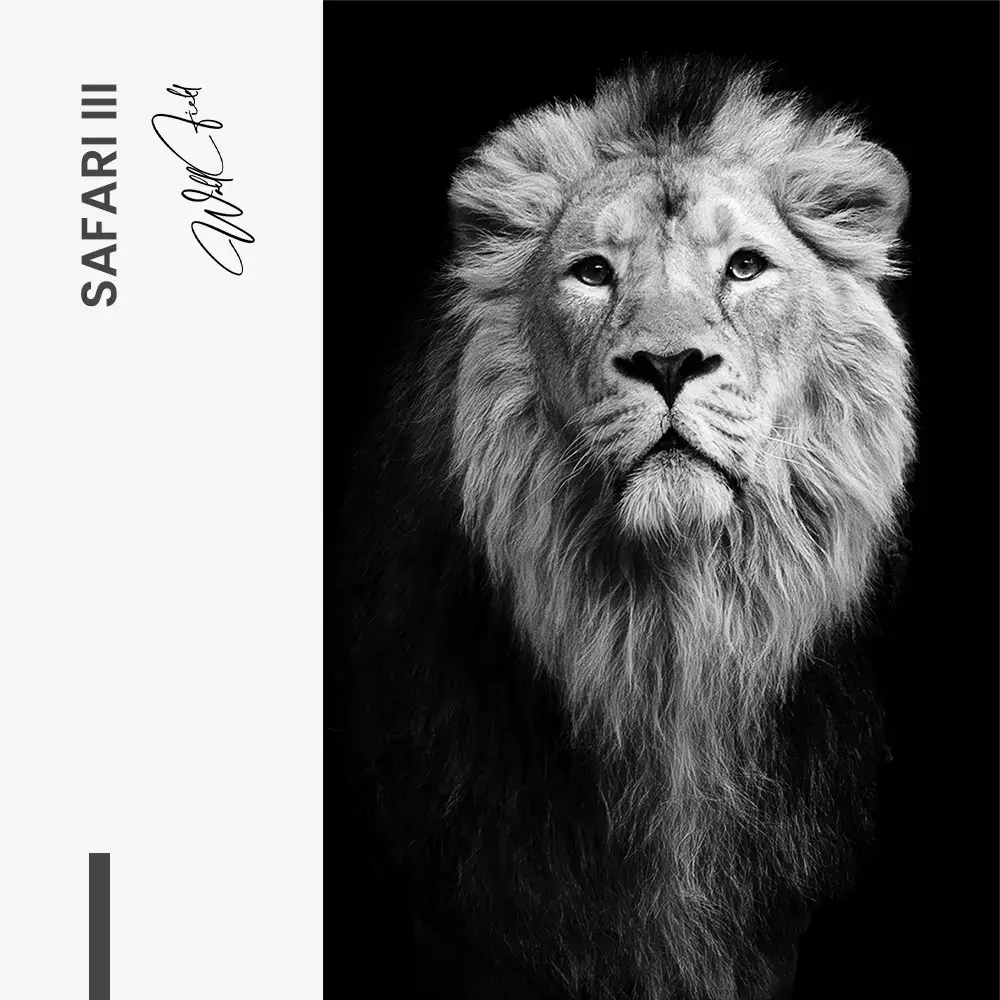 Safari III – Verre
