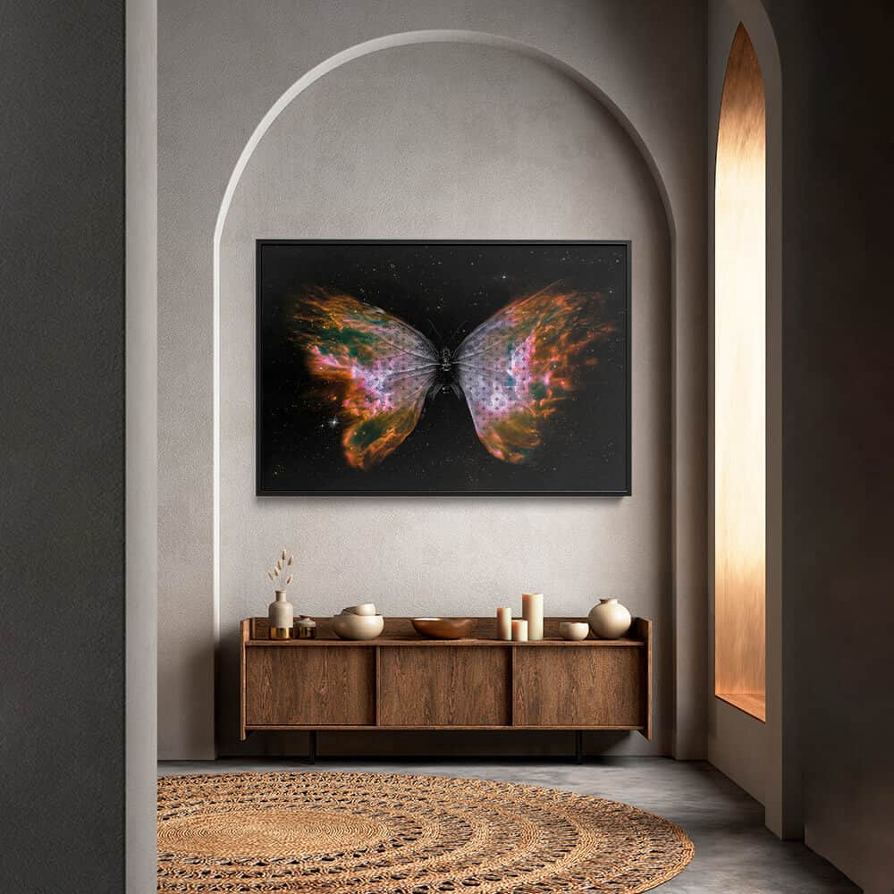 "Universe Butterfly"