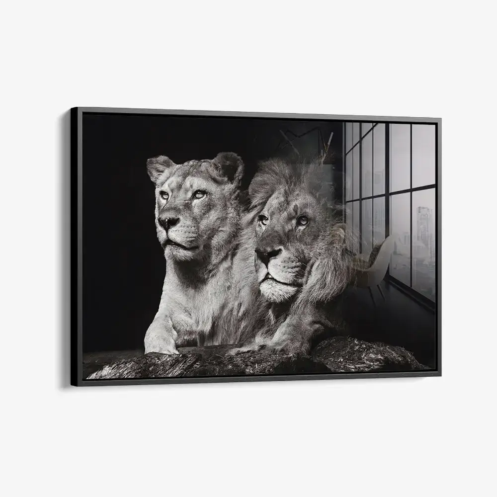 Lion Couple – Verre