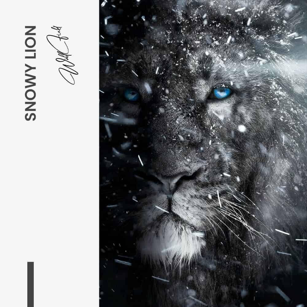 Snowy Lion - Verre