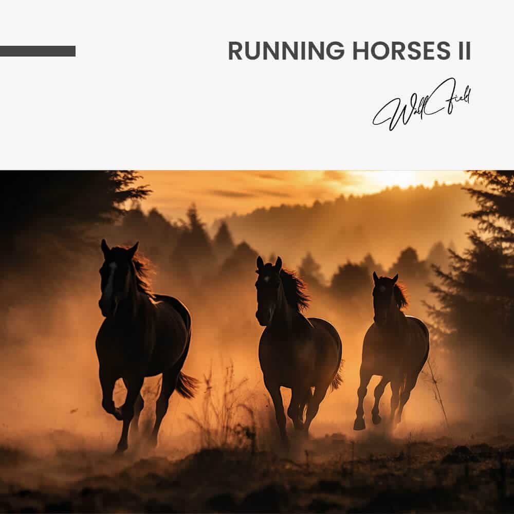 Running Horses II – Verre