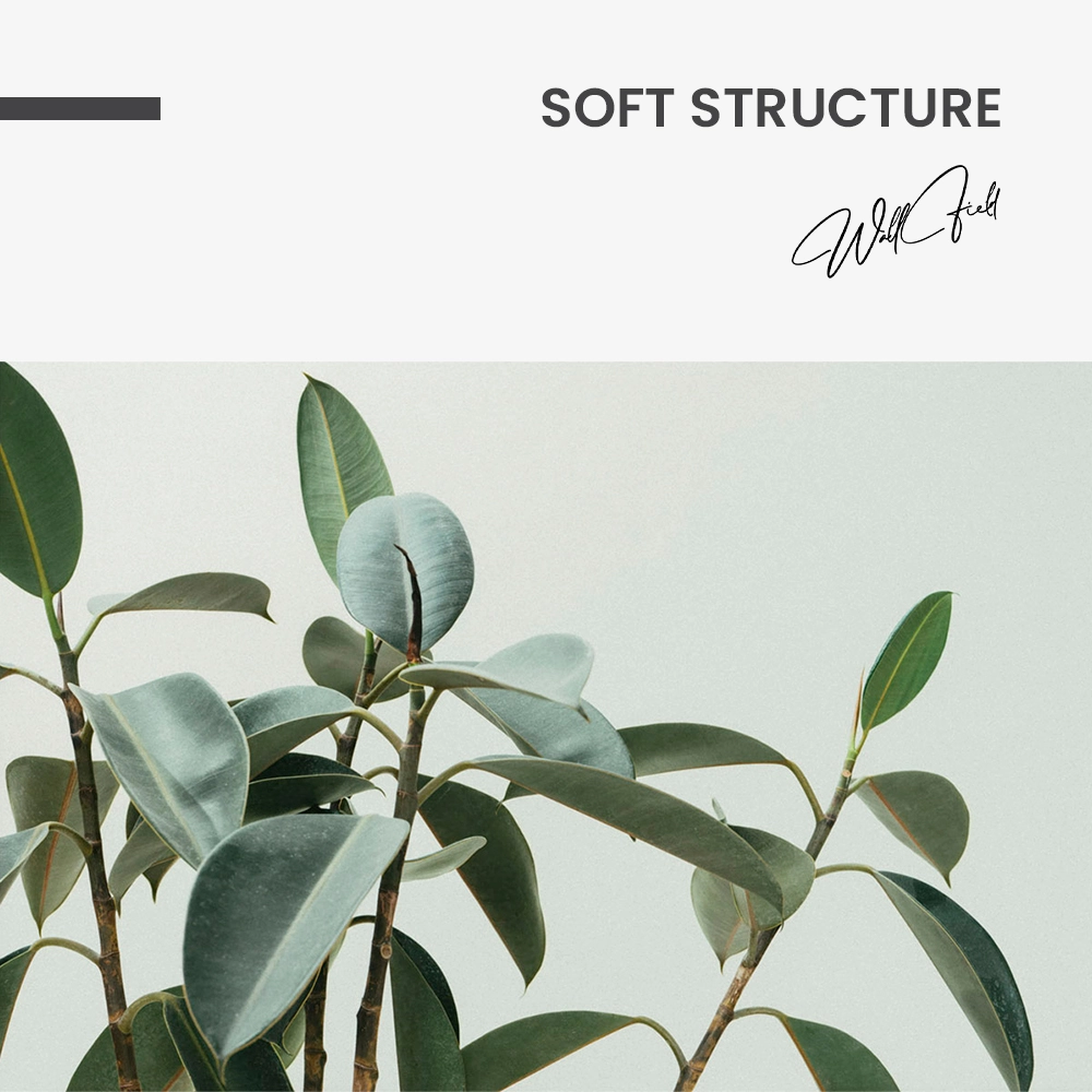Soft Structure – Verre