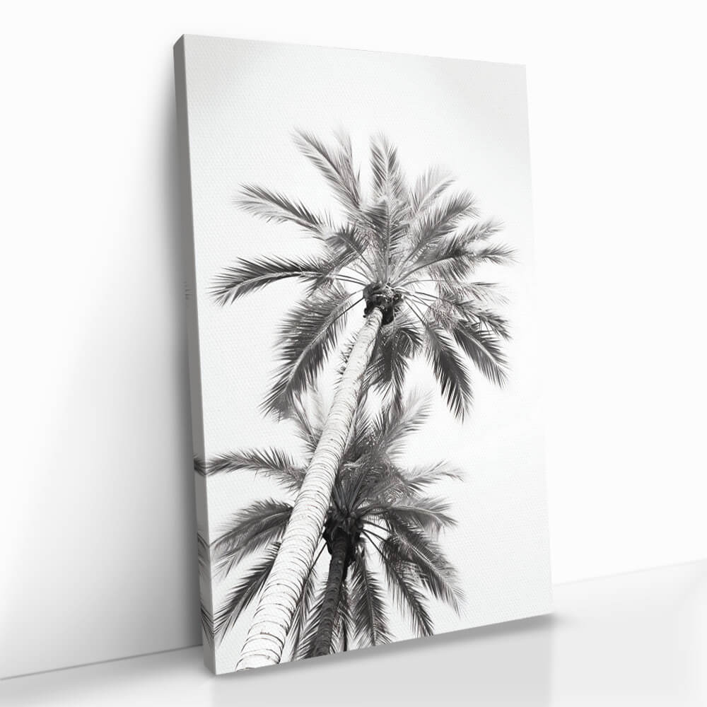"Under The Palm Trees"