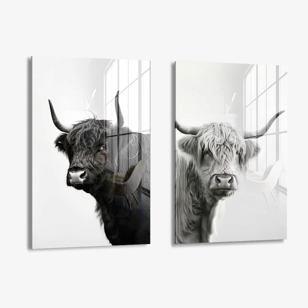 Bundle: "B&W Muscox" (2x) – Verre