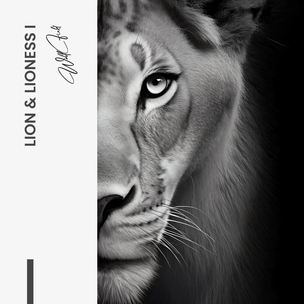 Bundle: "Lion & Lioness II" (2x) – Verre