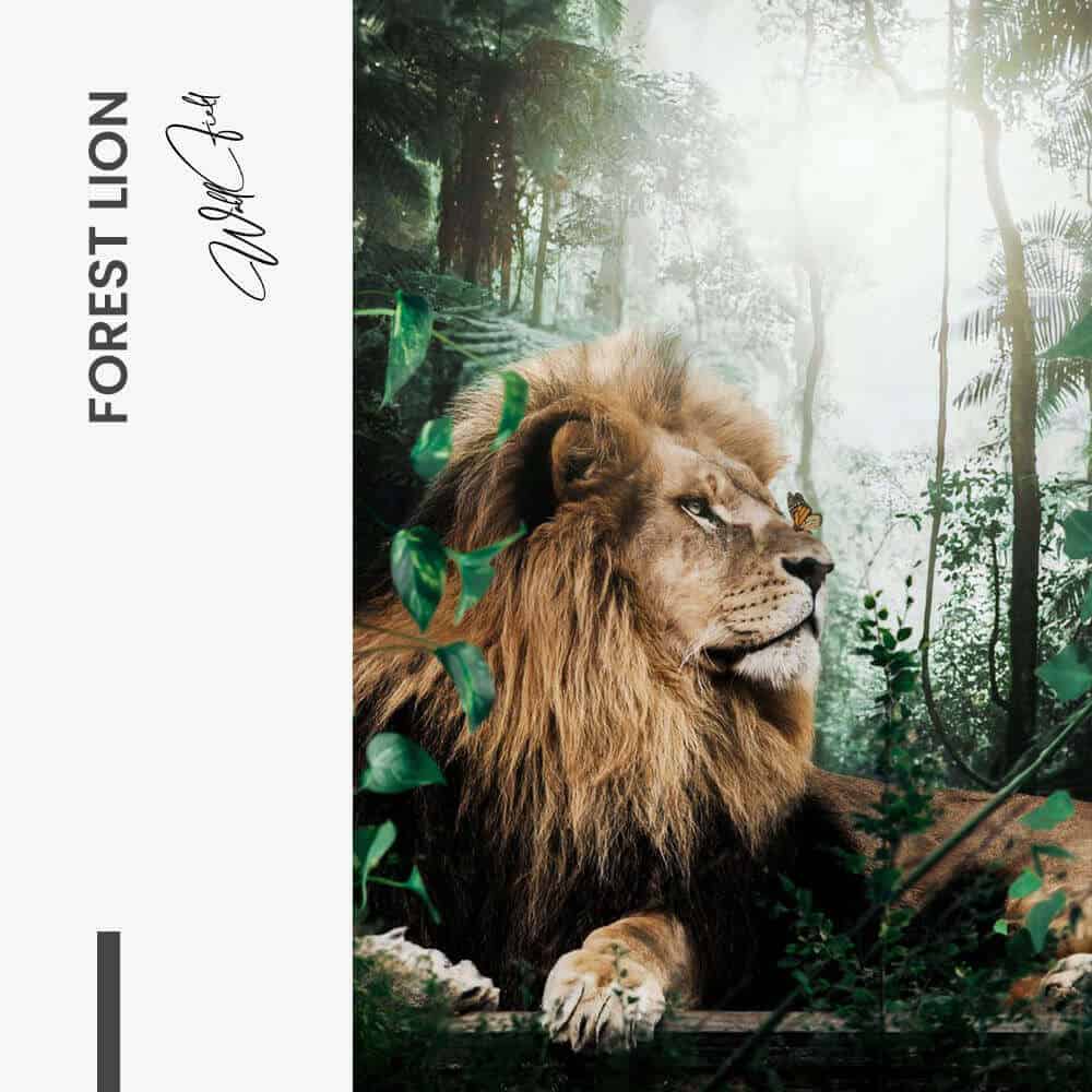 Forest Lion - Verre