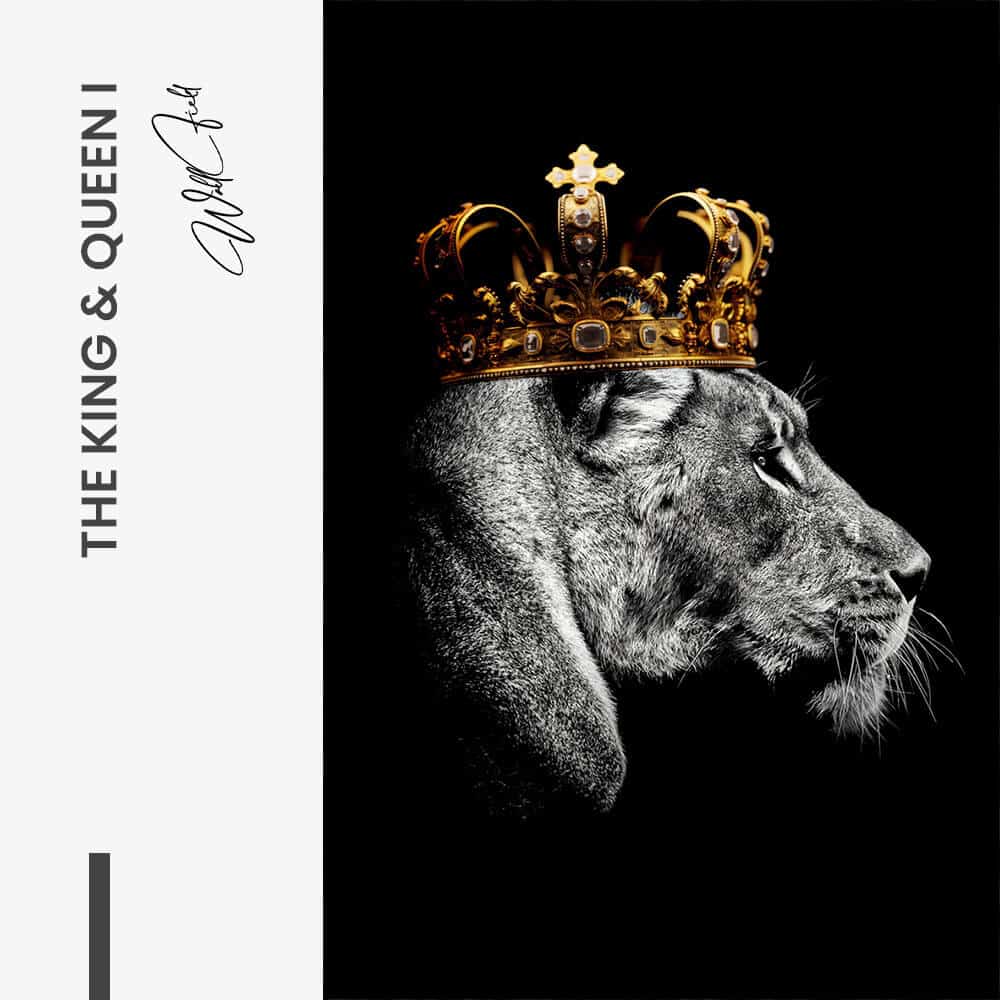Bundle: "The King Queen" (2x)