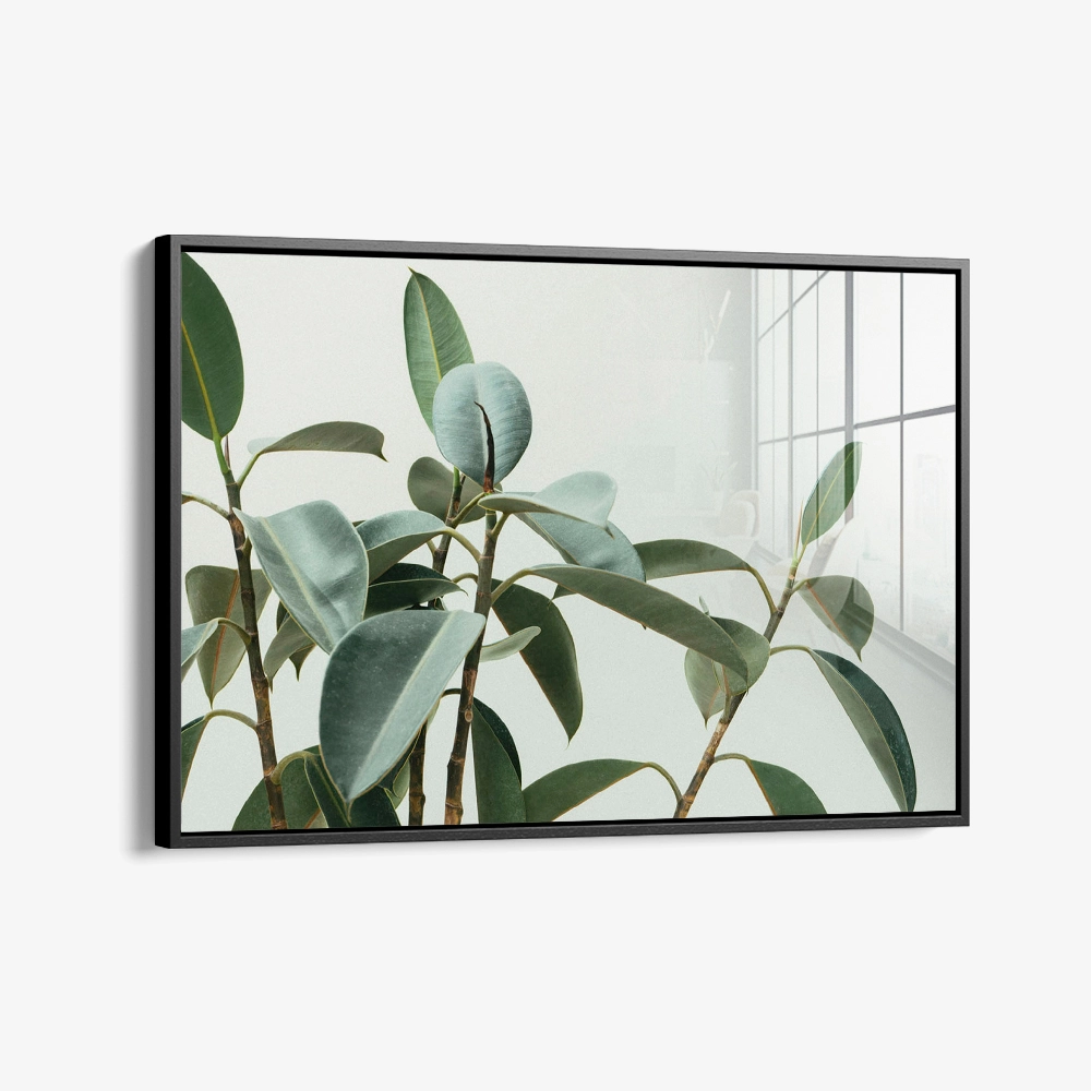 Soft Structure – Verre