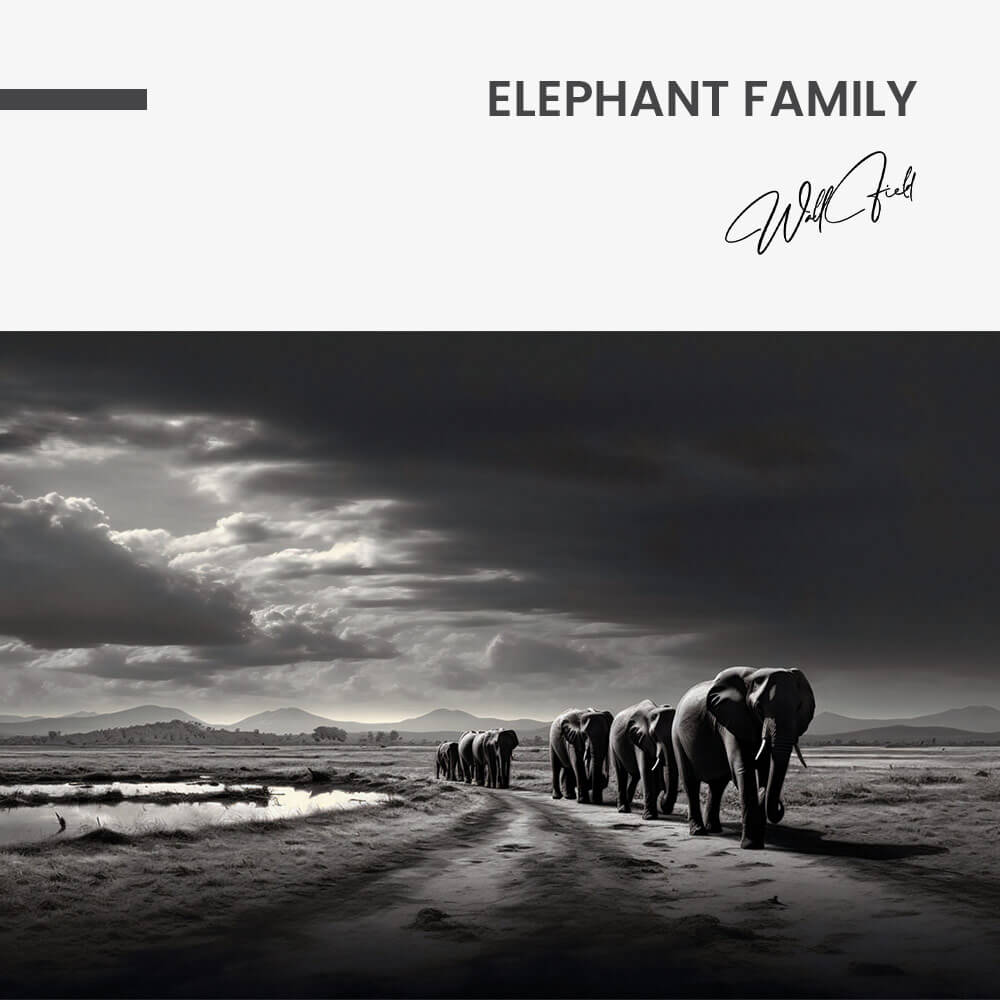 Elephant Family - Verre