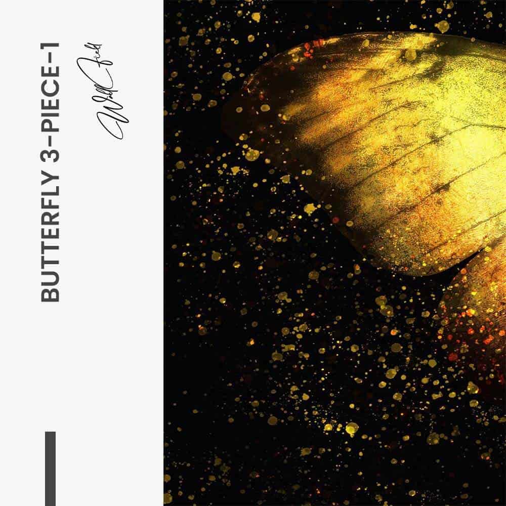 Bundle: "Butterfly 3-Piece" (3x) – Verre