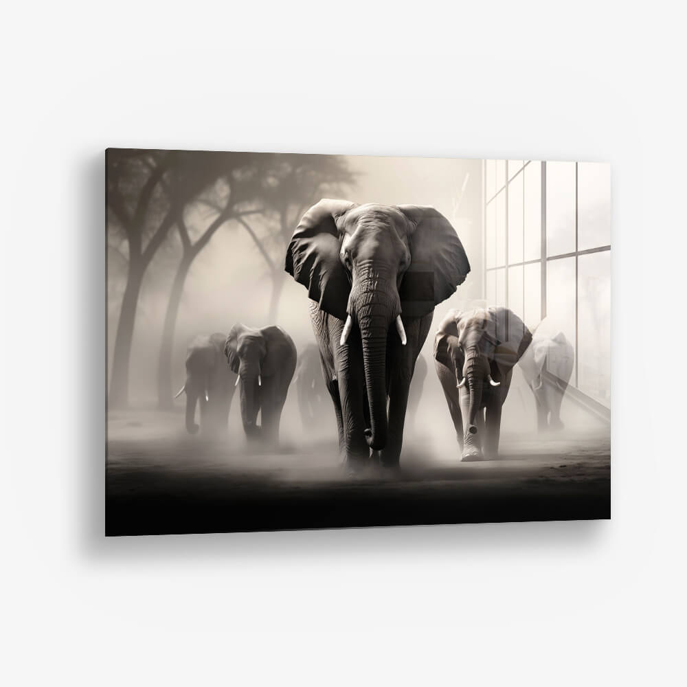 Elephant Family II – Verre