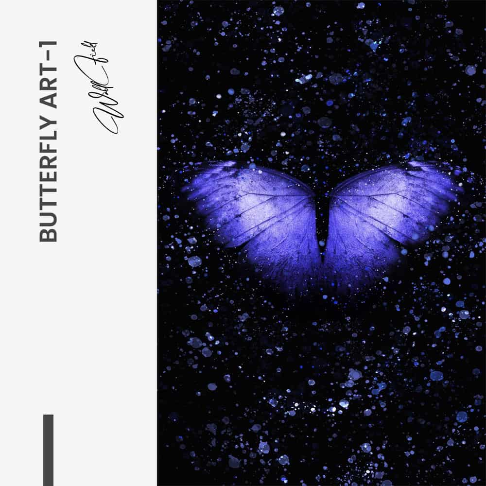 "Butterfly Art II"
