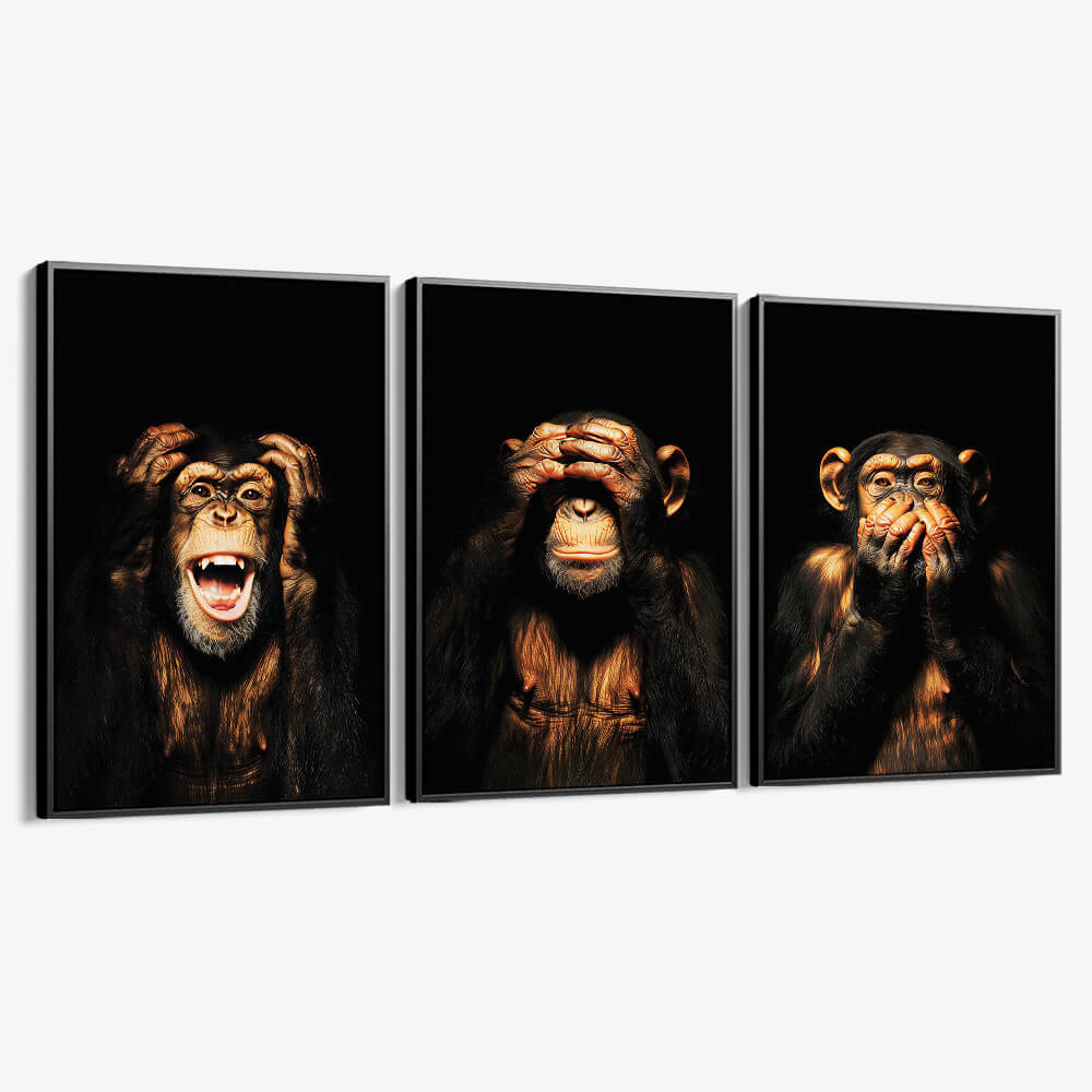 Bundle: "3 Wise Monkeys II" (3x)