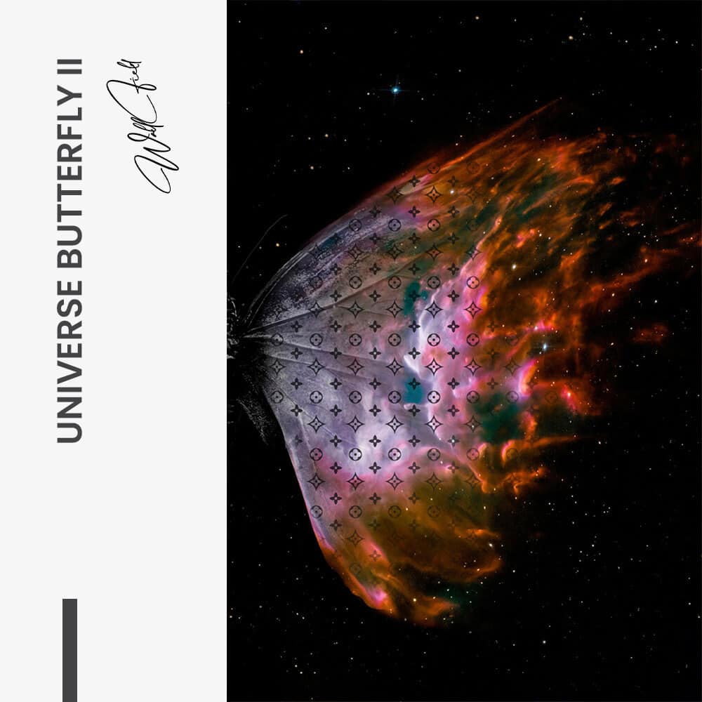 Bundle: "Universe Butterfly" (2x) – Verre