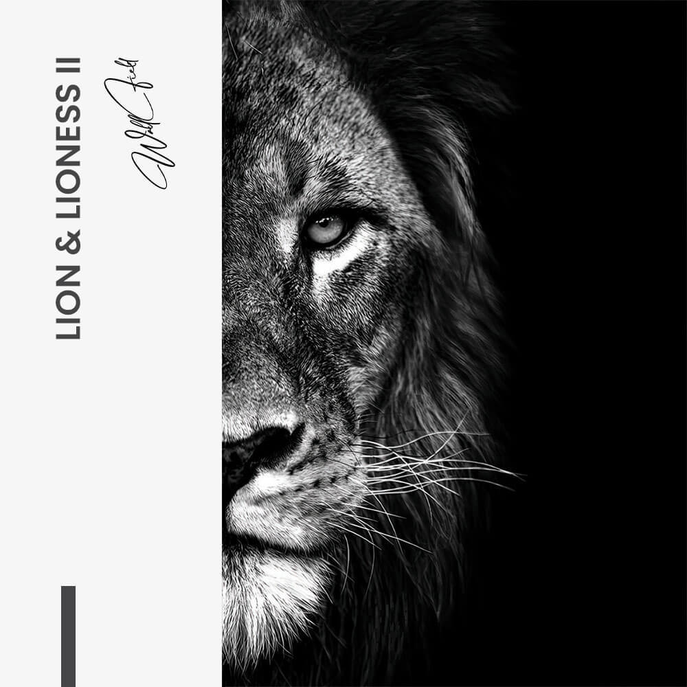 Bundle: "Lion & Lioness III" (2x) – Verre