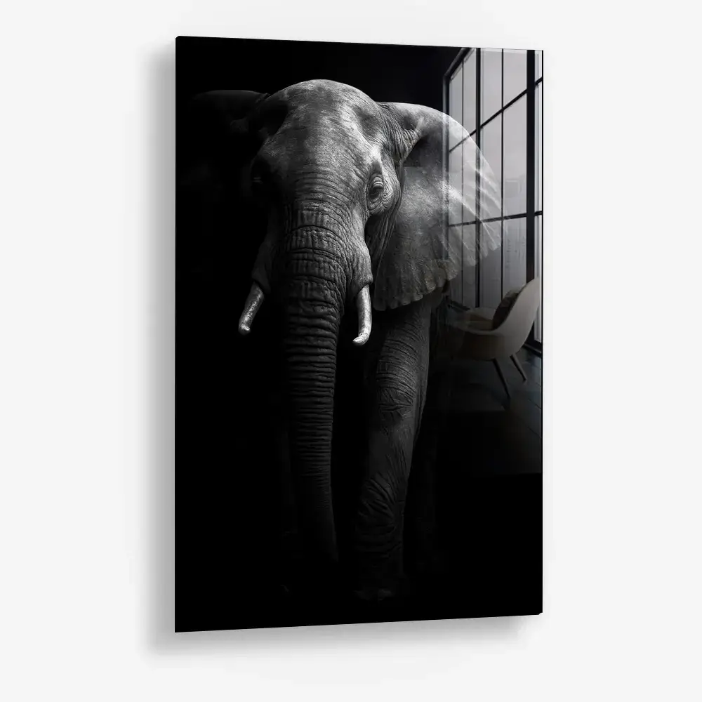 Safari I – Verre