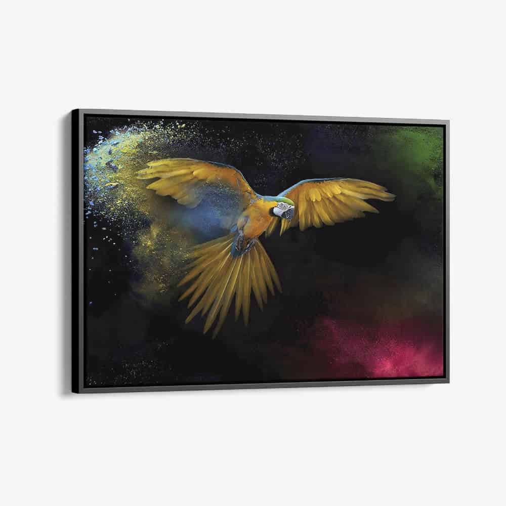 "Color Parrot"