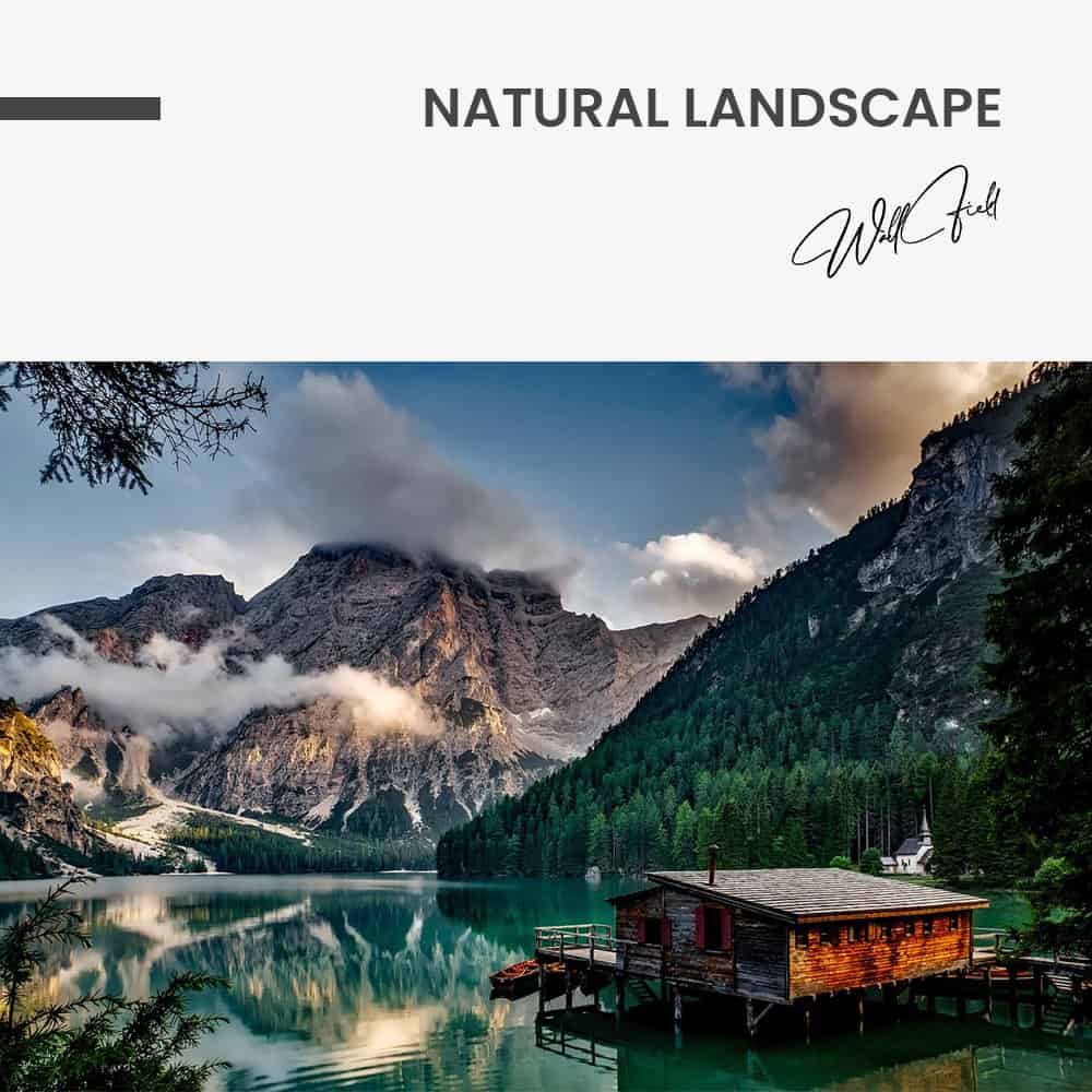 "Natural Landscape"