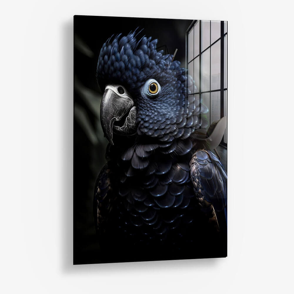 Oiseaux