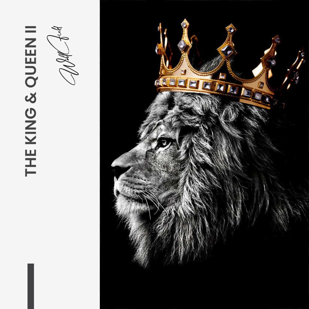 Bundle: "The King Queen" (2x)