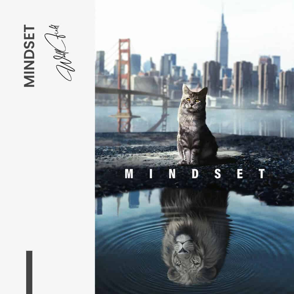 "Mindset''