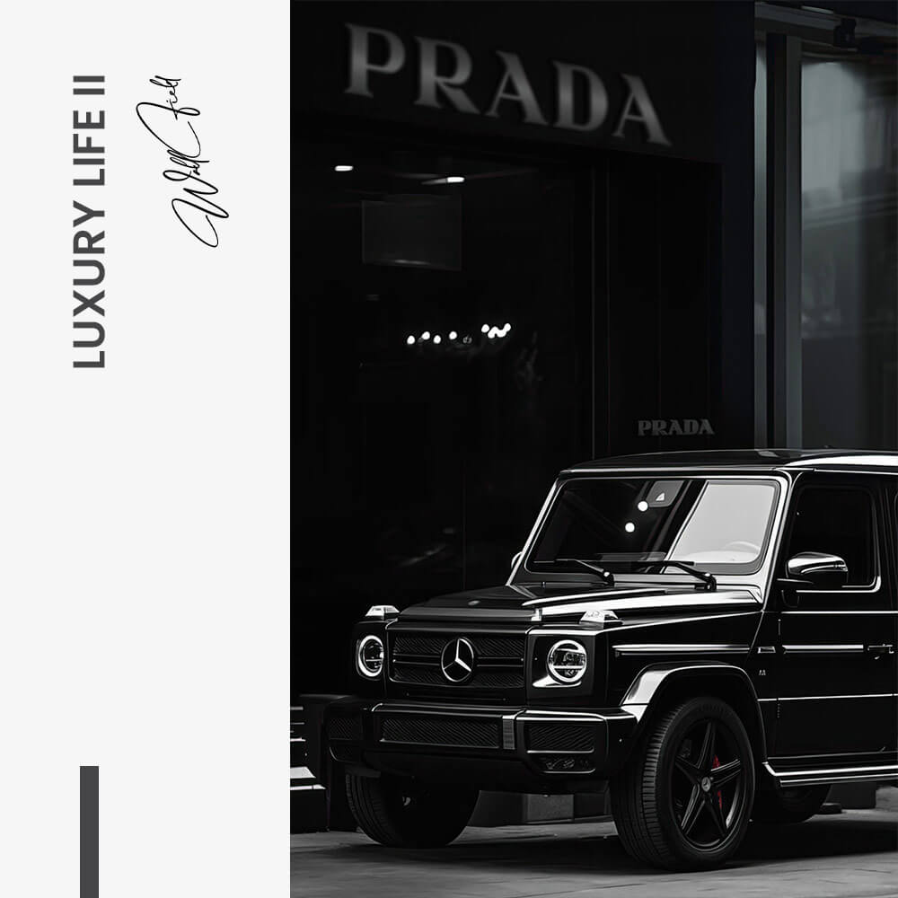 "Luxury Life II"