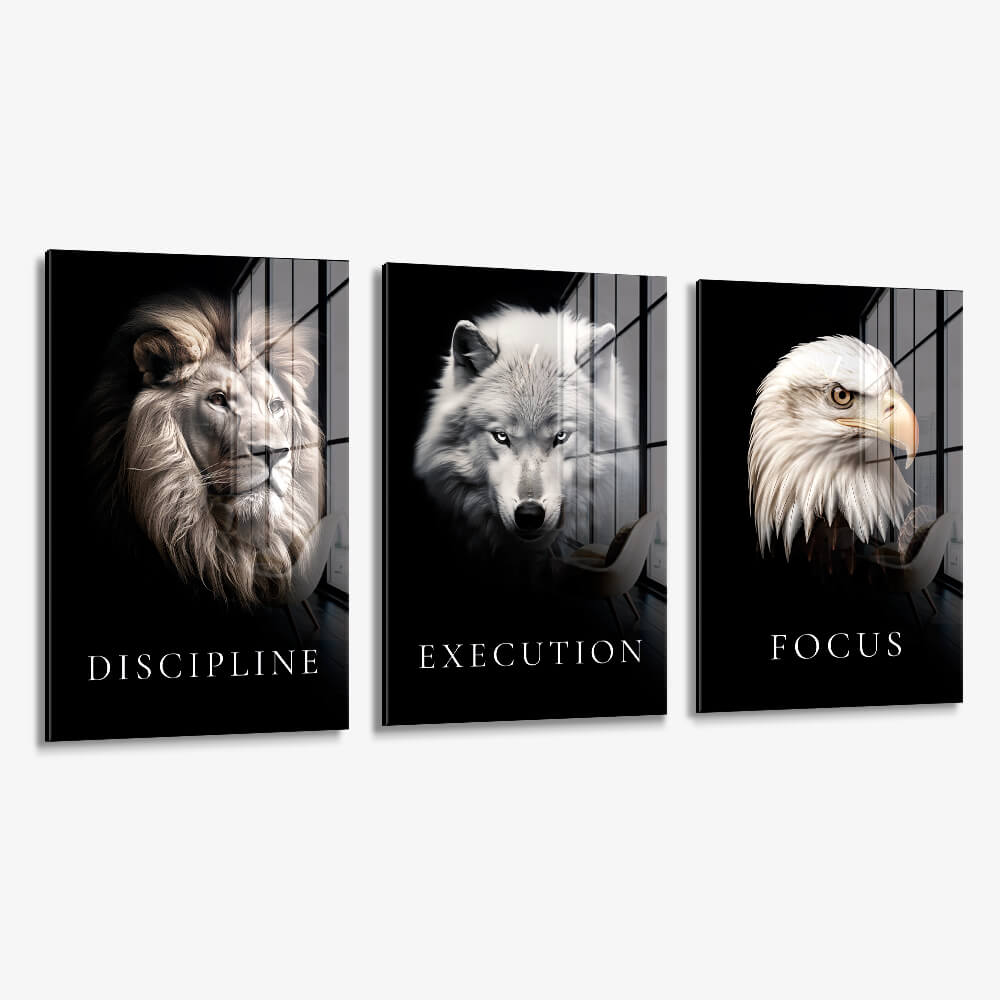 Bundle: "Apex" (3x) – Verre
