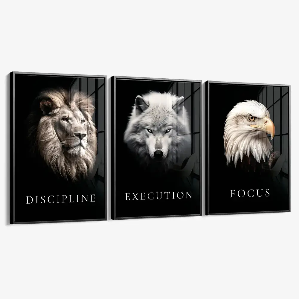 Bundle: "Apex" (3x) – Verre