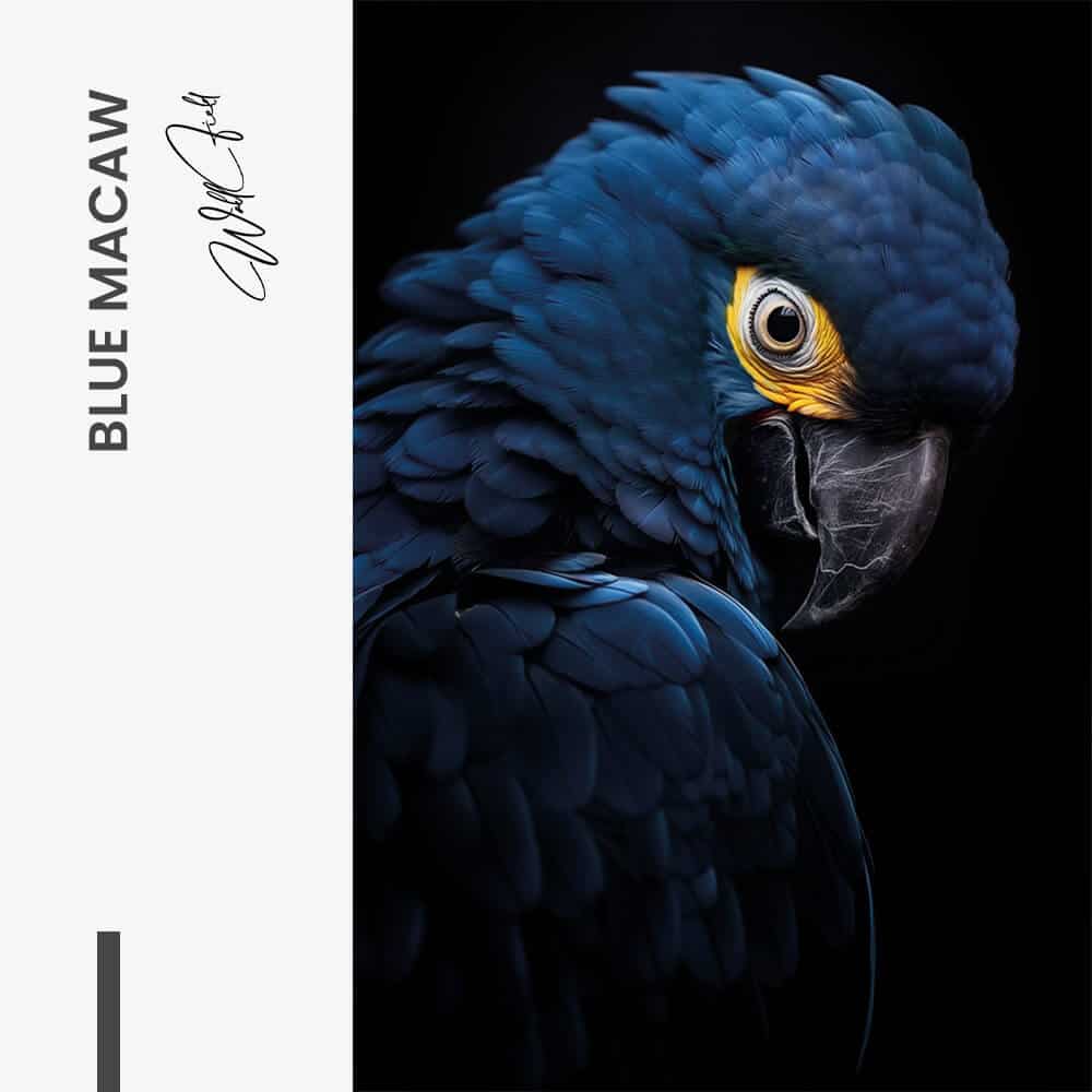 Blue Macaw – Verre