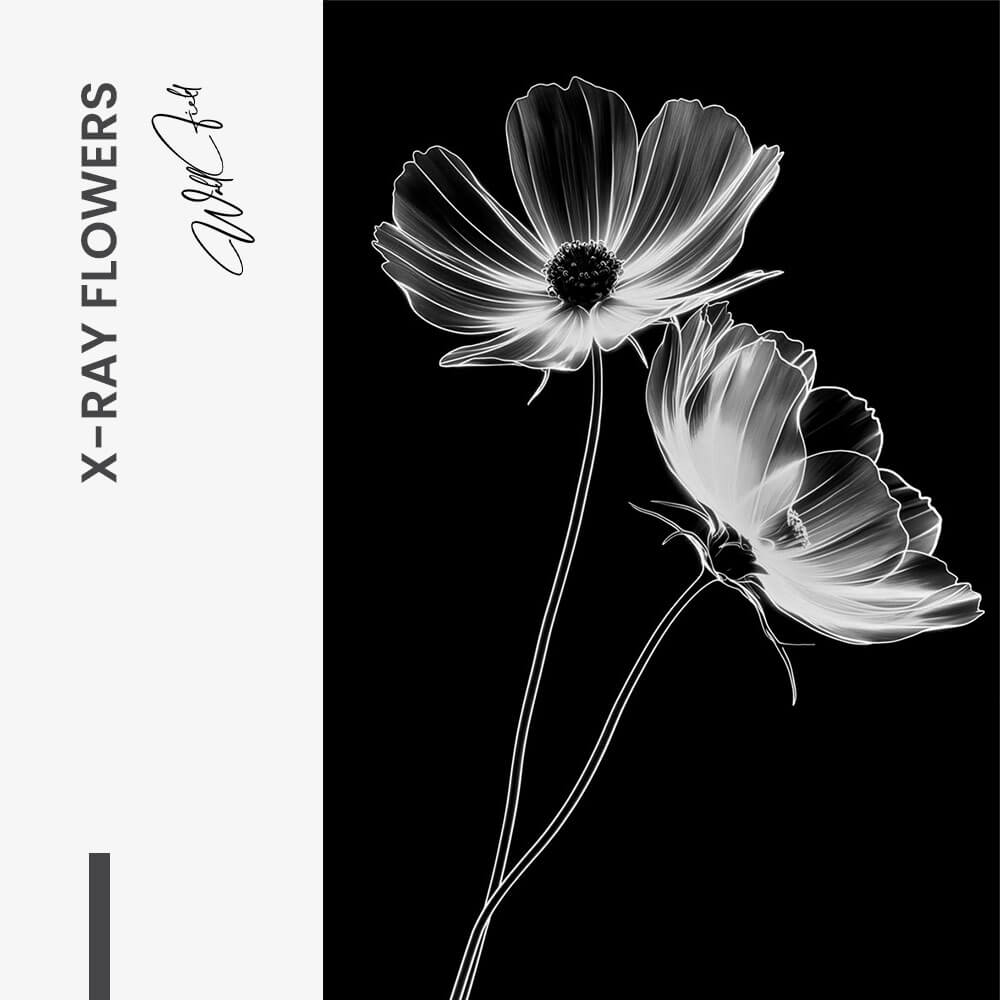"X-Ray Flowers"